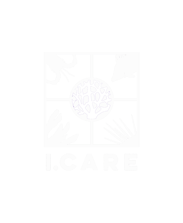 logo purple without text