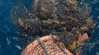 A sea turtle was found entangled in 37 pounds of marine debris off the South Florida coast.